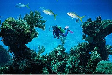 《真女神转生5：复仇》发布1.0.3补丁更新 添加新任务新仲魔